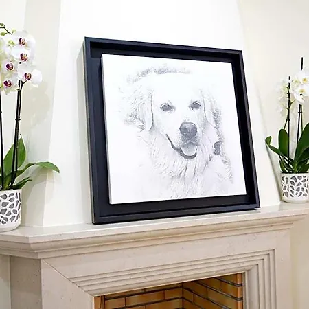 Sunny, The House - Al