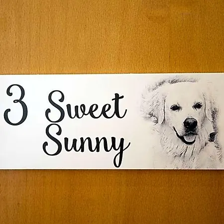 Sunny, The House - Al Hotel